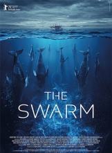 Ⱥ The Swarm (2023) 8ȫ Ӣ˫Ļ 1080p.H264.AAC.English.CHS&ENG