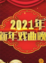 CCTV11 2021新年戏曲晚会 (2021) 1080i HDTV H264 AC3 [百度云/4.71GB]