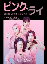 ۺ Pink Lie (2022) 12ȫ  HD1080P.X264.AAC.Korean.CHS