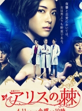 ˿֮ ꥹμ (2014) 10ȫ Ļ 720p.HDTV.x264.AAC