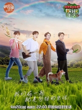  ڶ (2018) 12ȫ[][1080P][ٶ/25GB]