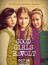 Ůķ һȫ+Ļ Good.Girls.Revolt.S01.2160p.AMZN.WEBRip.x265.10bit.HDR.DDP5.1 (